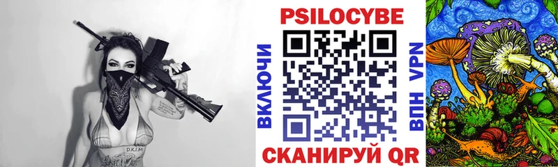 купить   Новоалтайск  Псилоцибиновые грибы Cubensis 