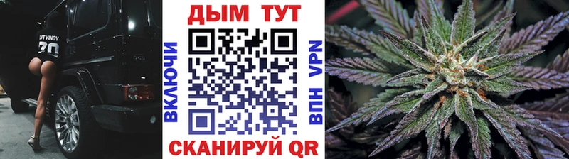 Канабис семена  наркошоп  Новоалтайск 